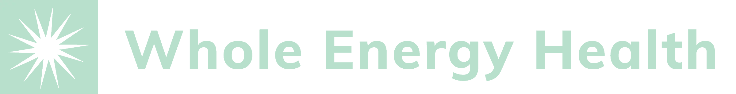 Whole Energy Health title and logo, our turnkey energy management solution
