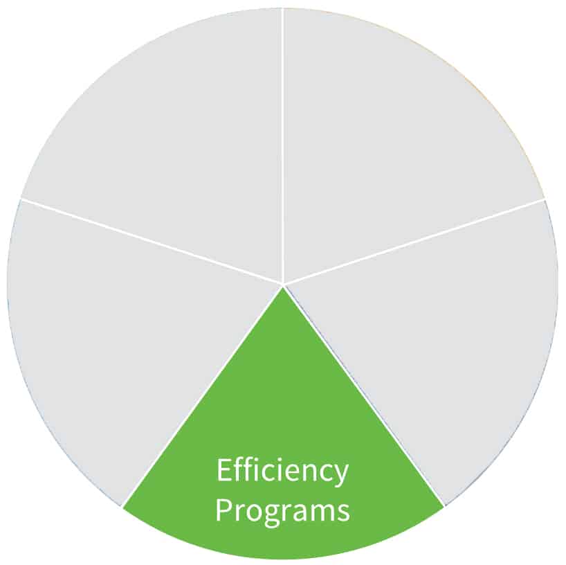 Whole Energy Health dial highlighting the Efficiency Programs segment