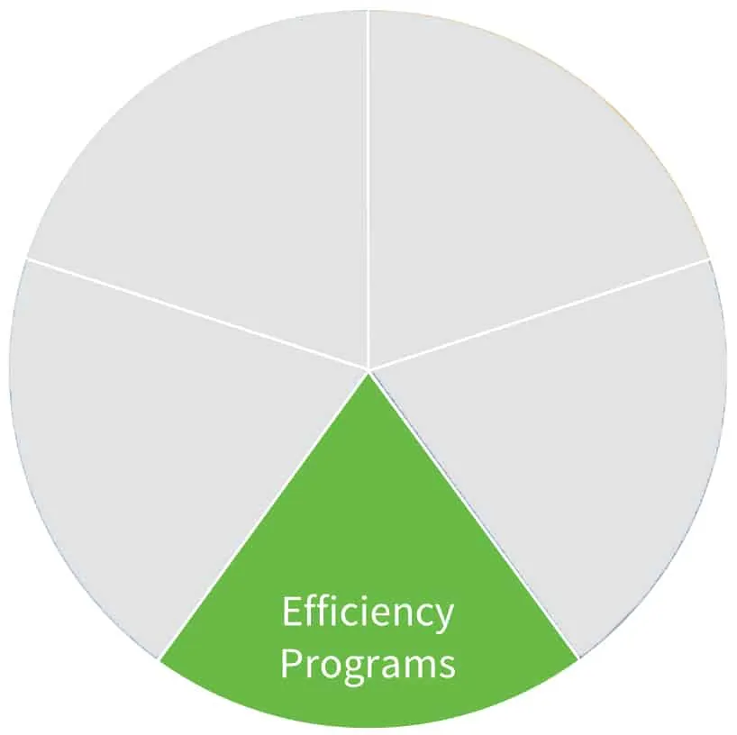 Whole Energy Health dial highlighting the Efficiency Programs segment
