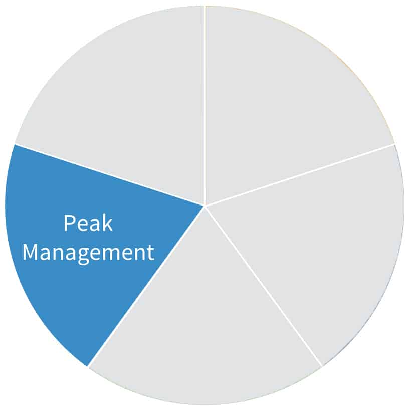 Whole Energy Health dial highlighting the Peak Management segment