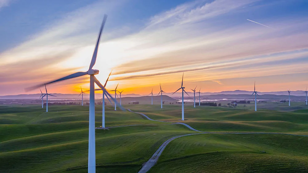 An image of a field of wind turbines at sunset